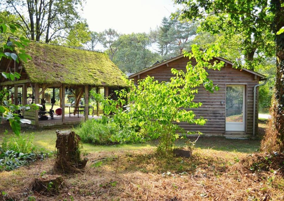 Chalet Cosy Au Coeur De La Foret De Broceliande Beignon Dış mekan fotoğraf